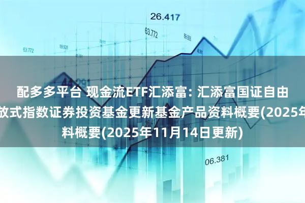 配多多平台 现金流ETF汇添富: 汇添富国证自由现金流交易型开放式指数证券投资基金更新基金产品资料概要(2025年11月14日更新)
